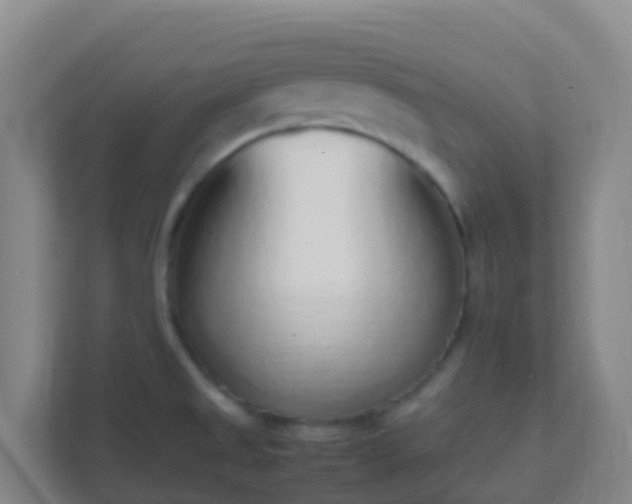 X0000111651525200907241121