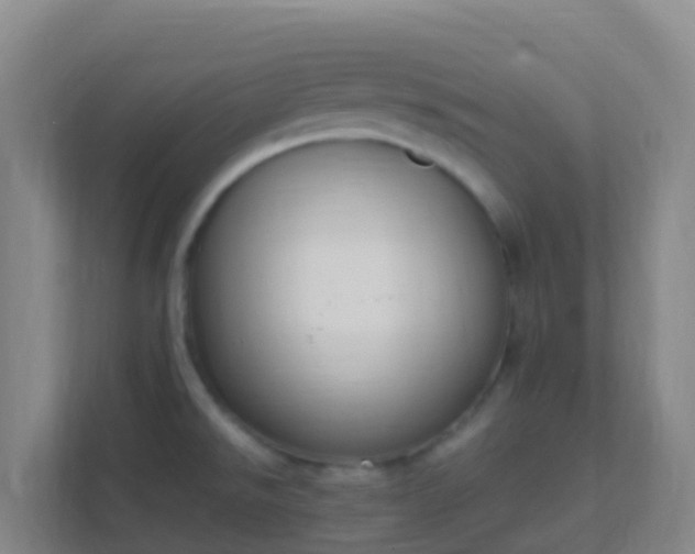X0000111651526200907241121