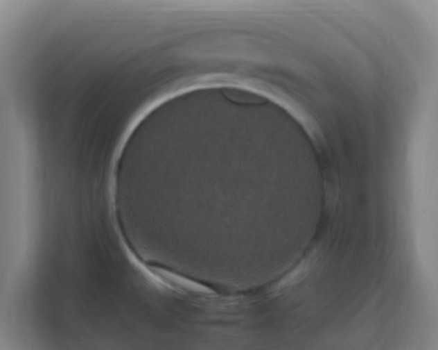 X0000111651527200907241121