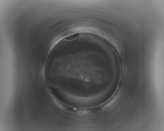 X0000111651529200907241121
