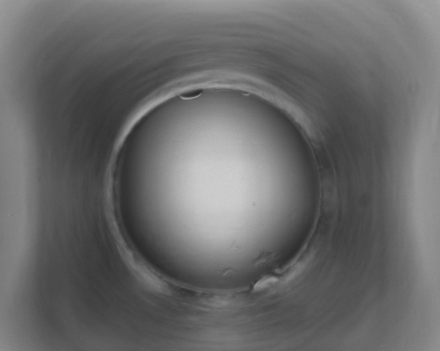 X0000111651530200907241121