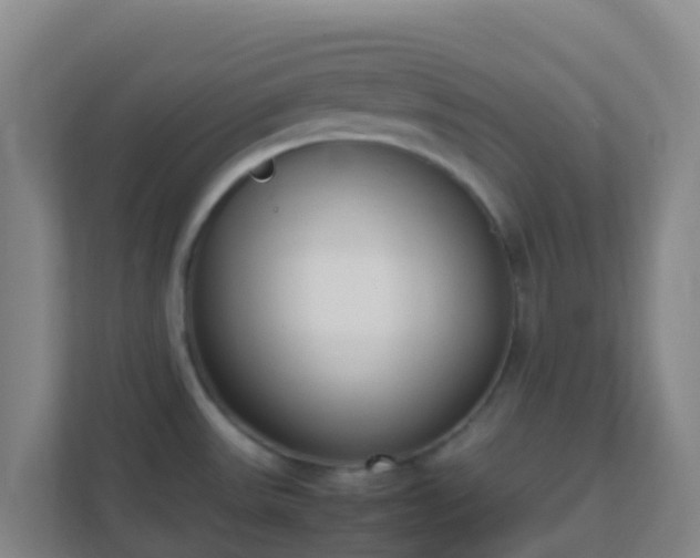 X0000111651531200907241121