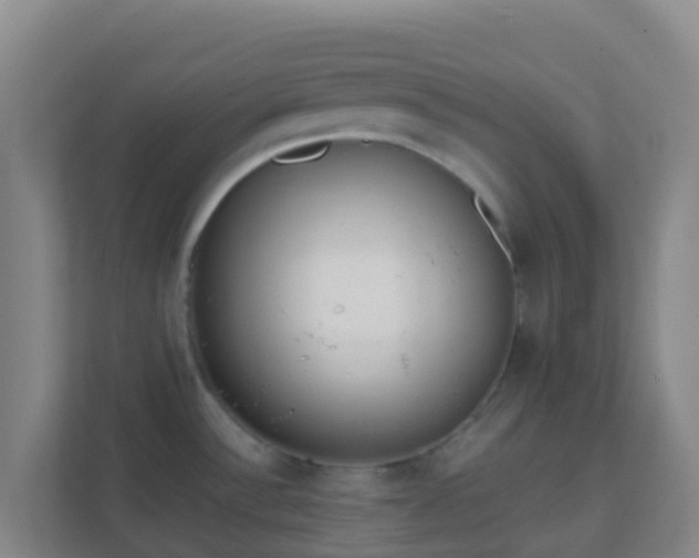 X0000111651532200907241121