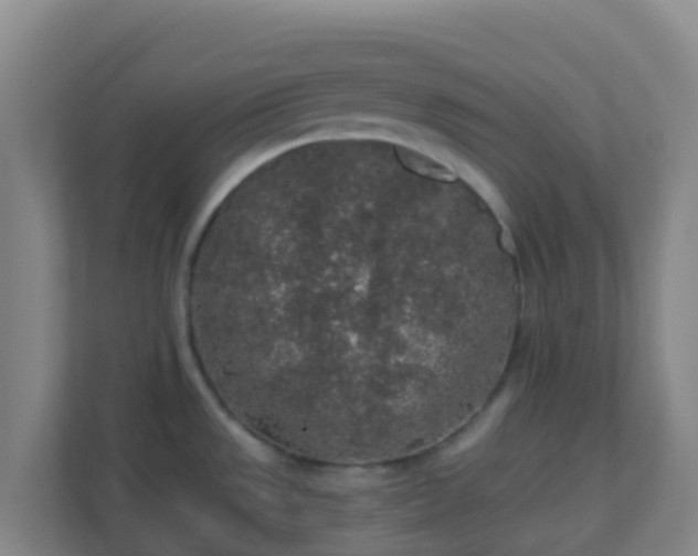X0000111651533200907241121