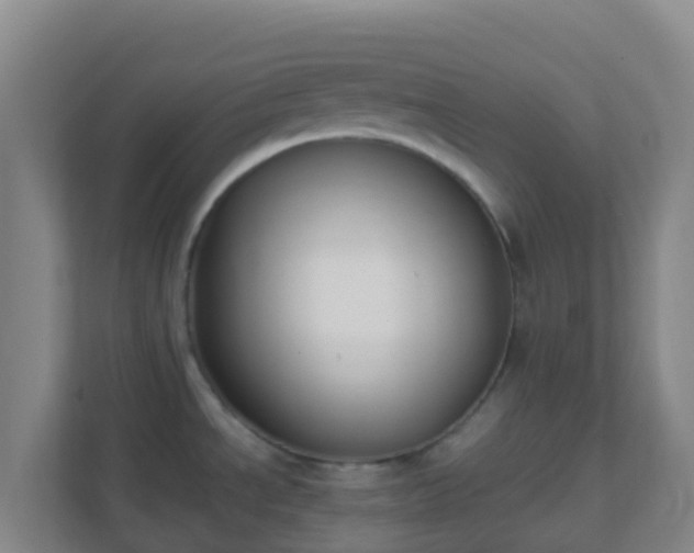 X0000111651534200907241121