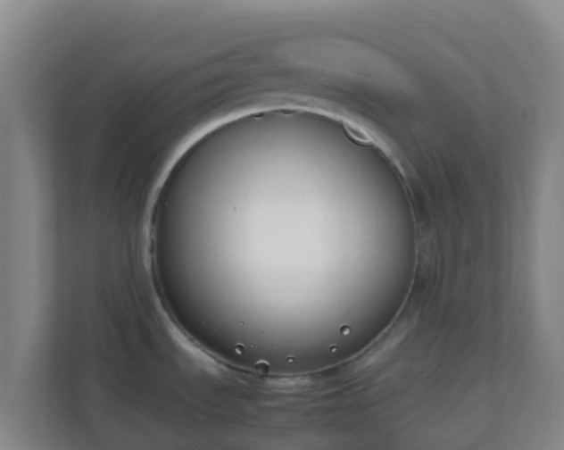 X0000111651535200907241121