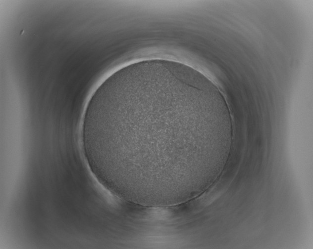 X0000111651536200907241121