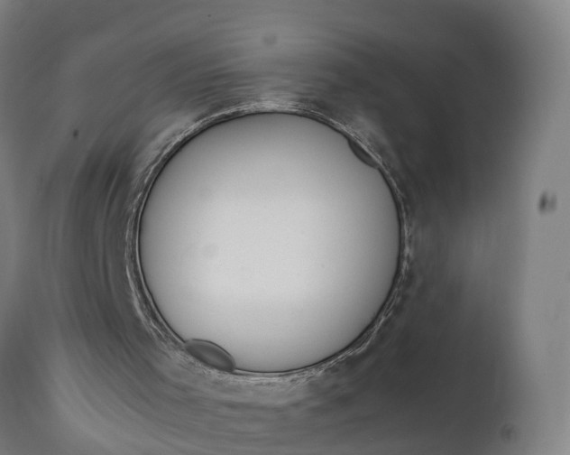 X0000111650001200907311328