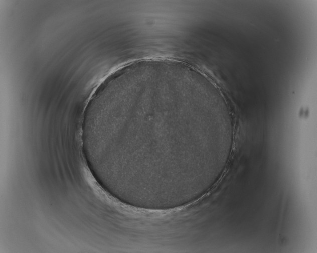 X0000111650002200907311328