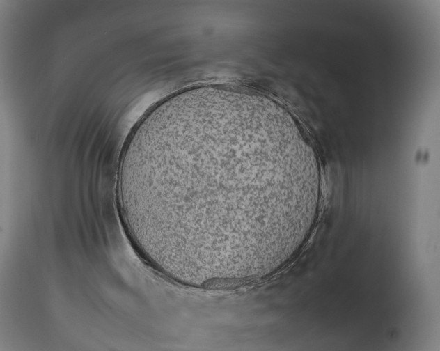 X0000111650003200907311328