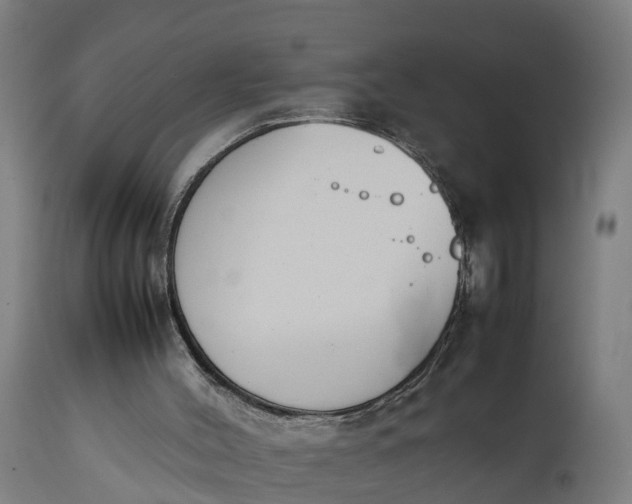 X0000111650004200907311328