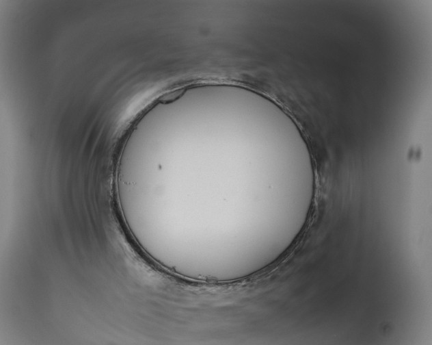X0000111650005200907311327
