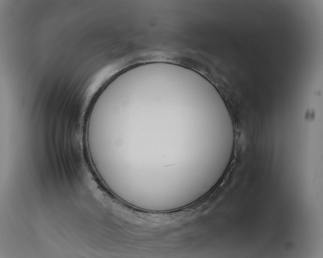 X0000111650006200907311327