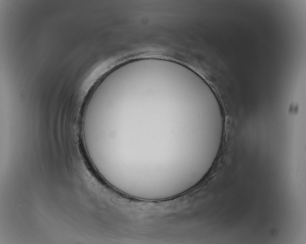 X0000111650007200907311327