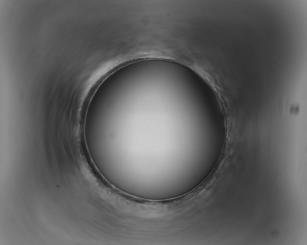 X0000111650008200907311327