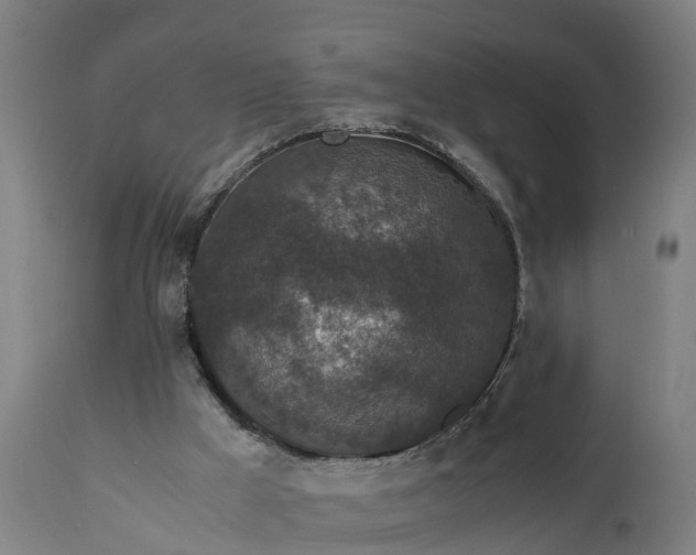 X0000111650009200907311327