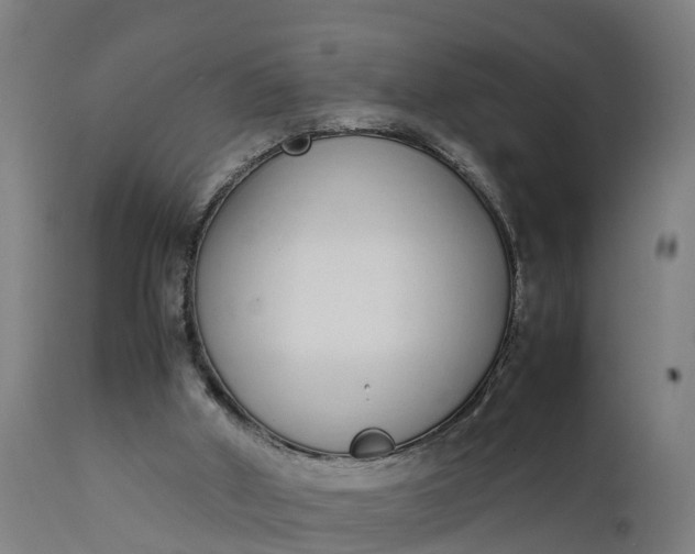 X0000111650010200907311327