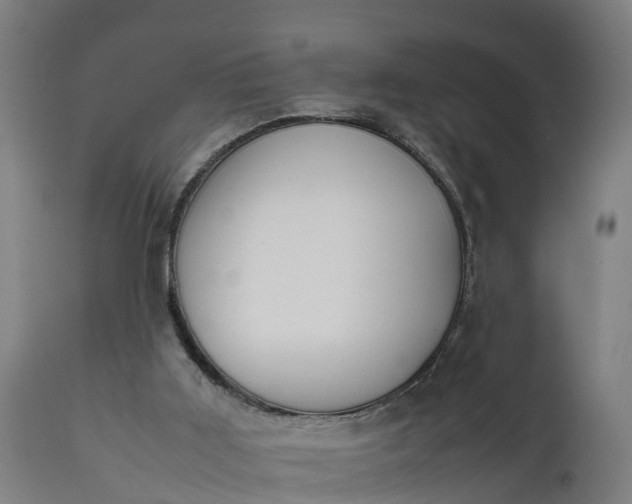 X0000111650011200907311327