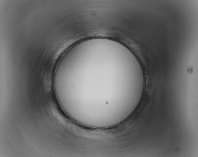 X0000111650012200907311327