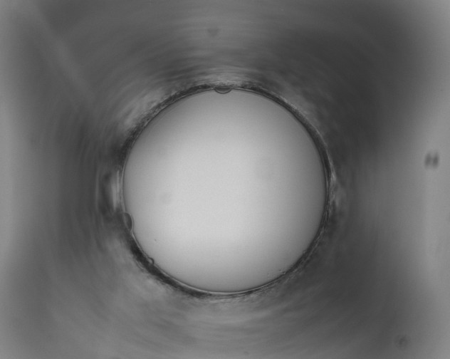 X0000111650013200907311327