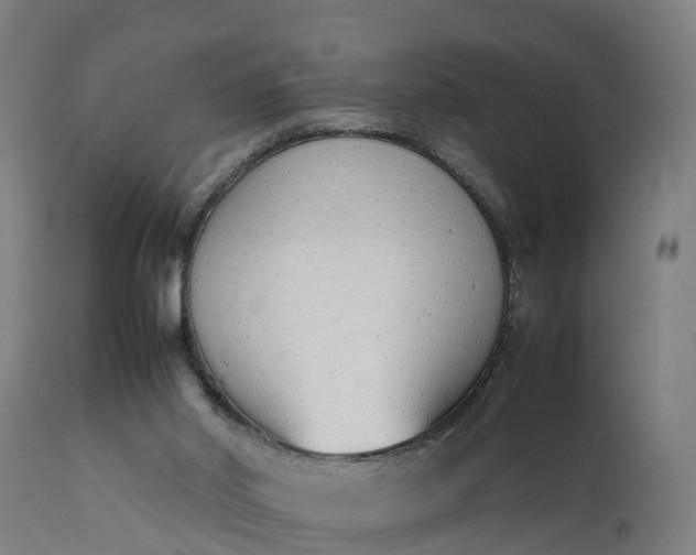 X0000111650014200907311327