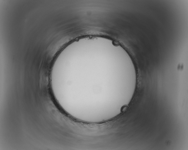 X0000111650015200907311327