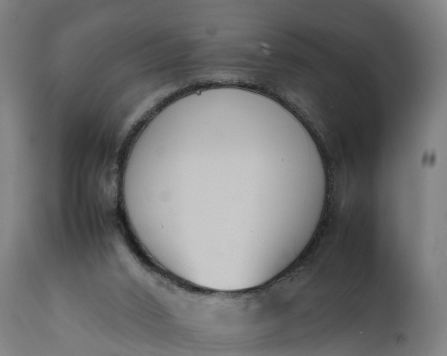 X0000111650016200907311327