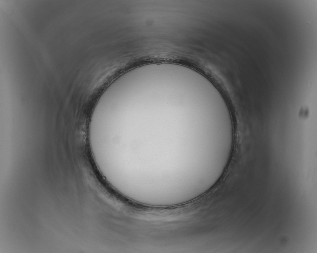X0000111650017200907311327
