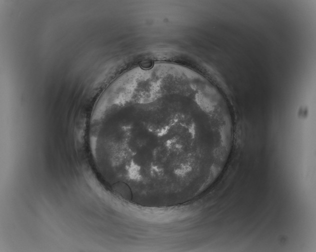 X0000111650018200907311327