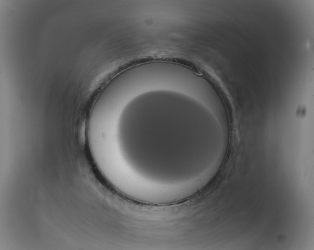 X0000111650019200907311327