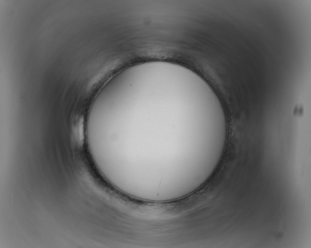 X0000111650020200907311327