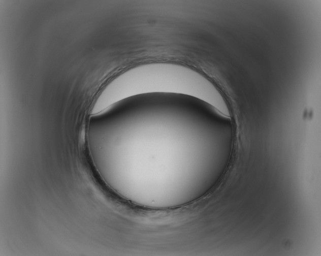 X0000111650021200907311327