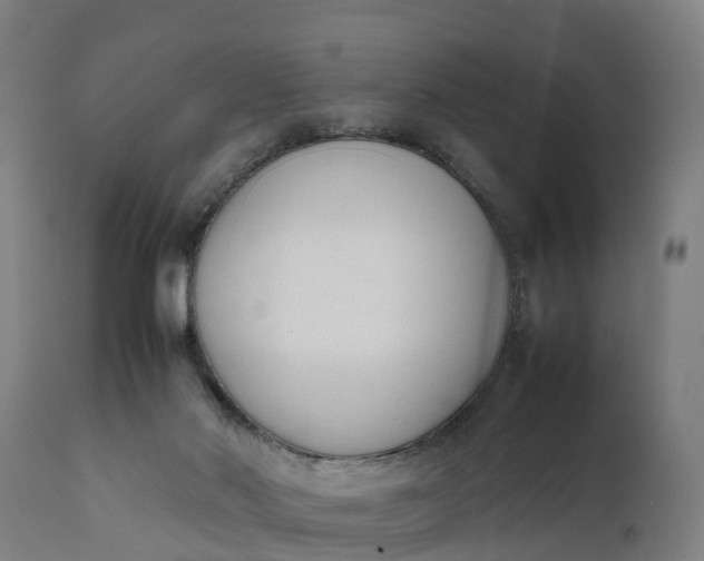 X0000111650022200907311327