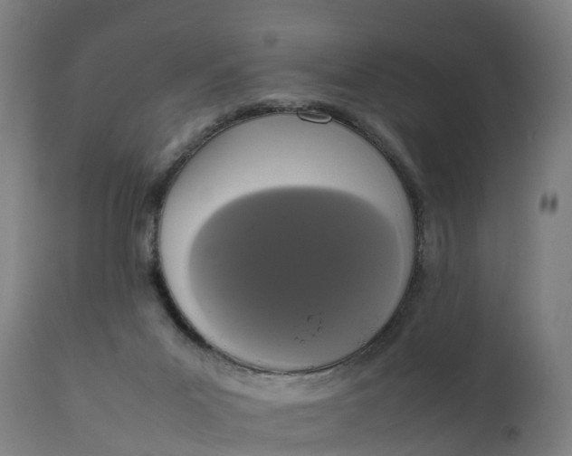 X0000111650023200907311327