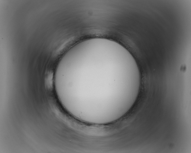 X0000111650024200907311327