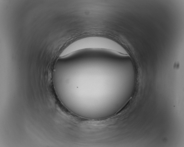 X0000111650025200907311327