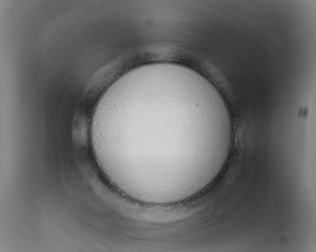 X0000111650026200907311327