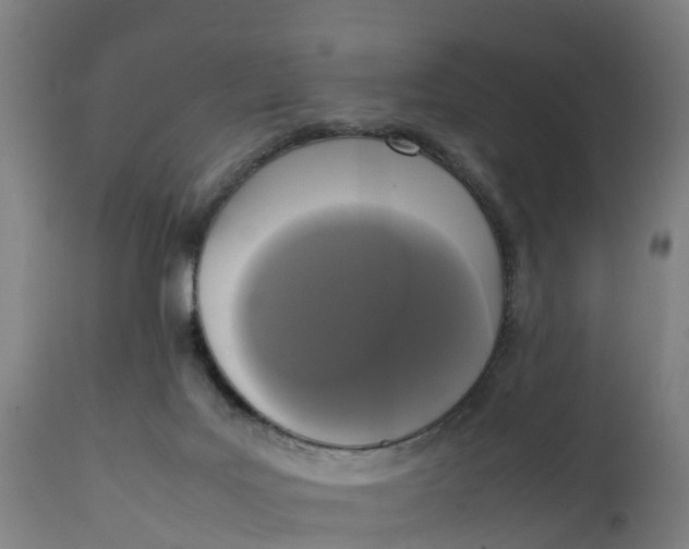 X0000111650027200907311327