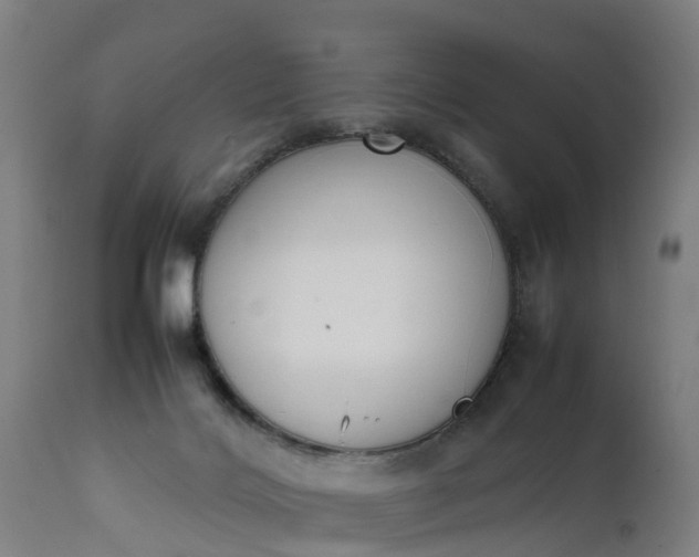 X0000111650028200907311327