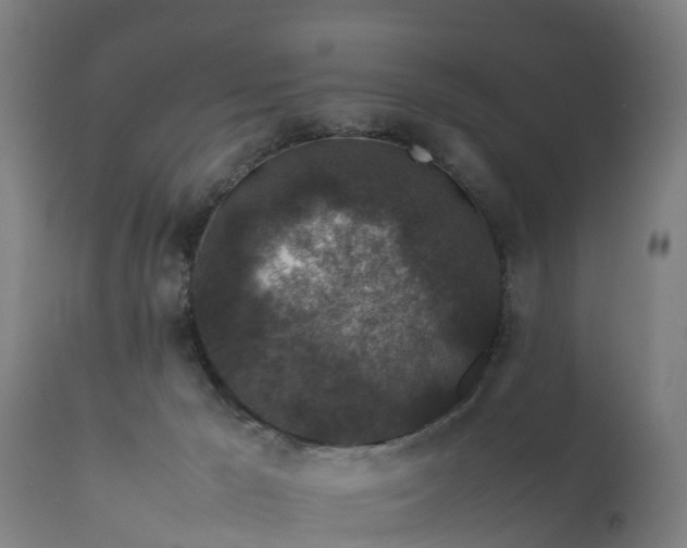 X0000111650029200907311327
