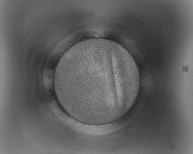 X0000111650030200907311327