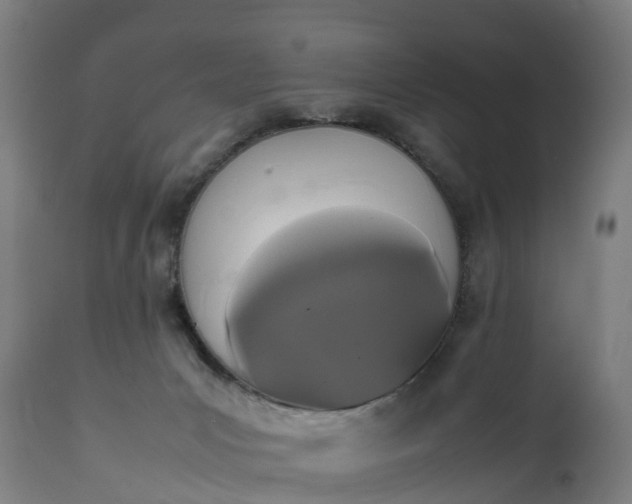 X0000111650031200907311327