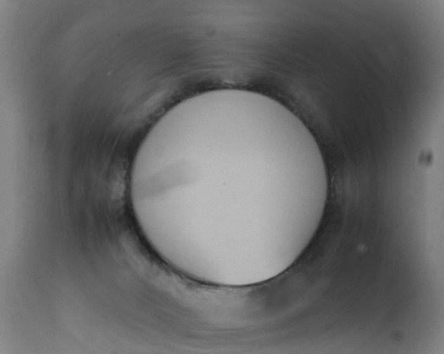 X0000111650032200907311327