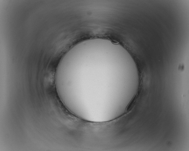 X0000111650033200907311327