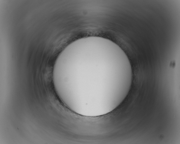 X0000111650034200907311327