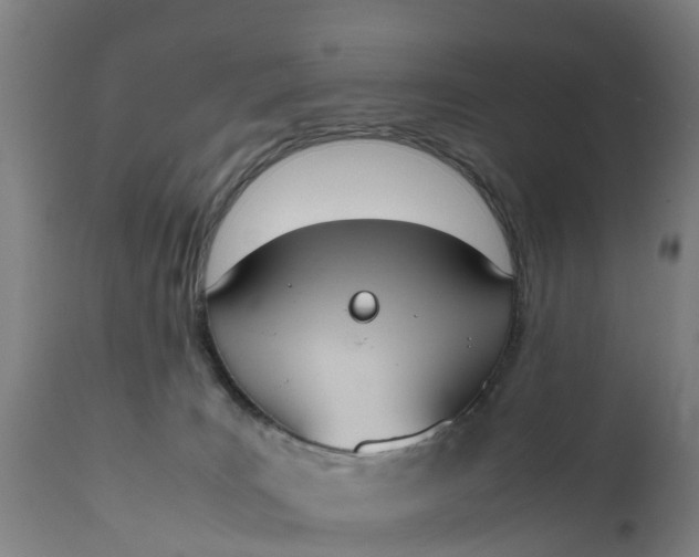 X0000111650035200907311327