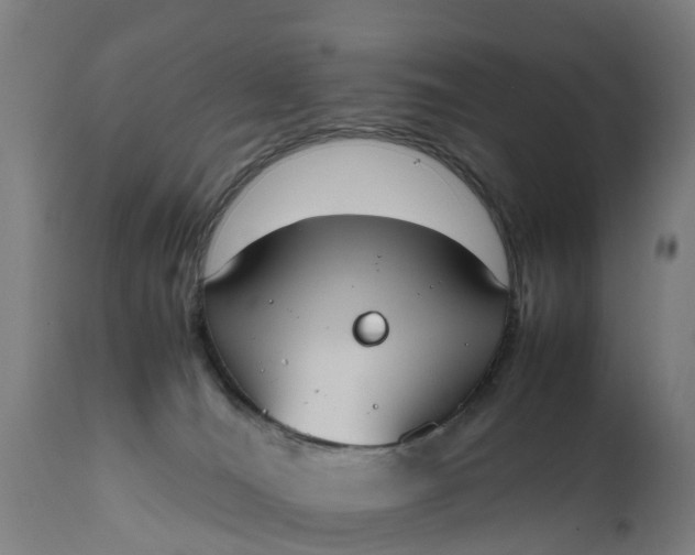 X0000111650036200907311327