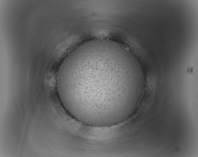 X0000111650037200907311327