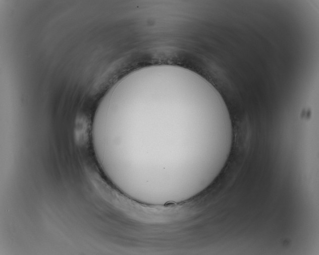 X0000111650038200907311327