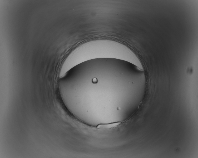 X0000111650039200907311327